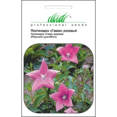 Платикодон Гаваи розовый /0,1 г/ *Профессиональные семена*