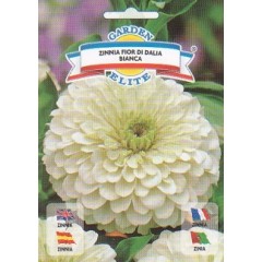 Цинія махрова Квітка Даліди біла /1 г/ *Garden Elite*