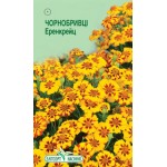 Чорнобривці Еренкрейц /0,5 г/ *ЕлітСорт*