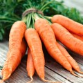 Морковь Флакке /0,5 кг/ *GSN*