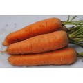 Морковь Курода /0,5 кг/ *Rem seeds*