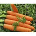 Морква Червоний Велетень /0,5 кг/ *Satimex*