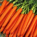 Морква Нантська /0,5 кг/ *GSN*