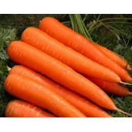 Морква Осіння королева /0,5 кг/ *Satimex*