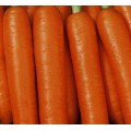 Морква Червона Бояриня /0,5 кг/ *Satimex*