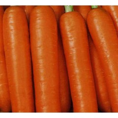 Морковь Красная Боярыня /0,5 кг/ *Satimex*