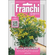 Рута Оффицинале /0,75 г/ *Franchi Sementi*