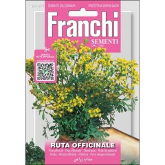 Рута Оффицинале /0,75 г/ *Franchi Sementi*