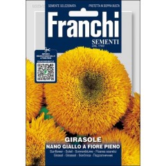 Соняшник Джіалло а Фіоре П'єно /4 г/ *Franchi Sementi*