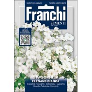 Гіпсофіла Елеганс Б'янка /3 г/ *Franchi Sementi*