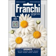 Нивяник Джиганте /2 г/ *Franchi Sementi*