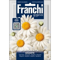 Королиця Джиганте /2 г/ *Franchi Sementi*