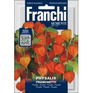 Фізаліс Франчетті /0,5 г/ *Franchi Sementi*