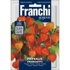 Физалис Франчетти /0,5 г/ *Franchi Sementi*