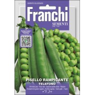 Горох Телефоно /60 г/ *Franchi Sementi*