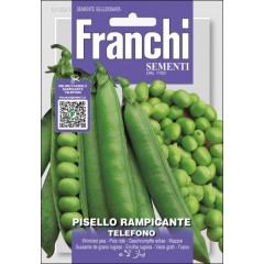 Горох Телефоно /60 г/ *Franchi Sementi*