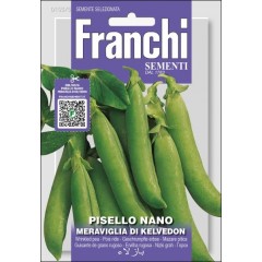 Горох Меравилья ди Келведон /60 г/ *Franchi Sementi*