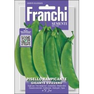 Горох Джиганте Свиццеро /50 г/ *Franchi Sementi*