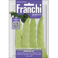 Фасоль Смеральдо /30 г/ *Franchi Sementi*