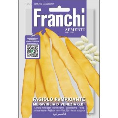 Квасоля Меравілья ді Венеція Грано Б'янко /30 г/ *Franchi Sementi*