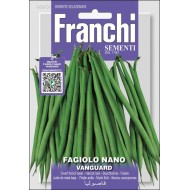 Квасоля Вангуард /50 г/ *Franchi Sementi*