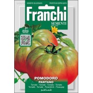 Томат Пантано /1,5 г/ *Franchi Sementi*