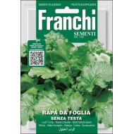 Репа Да Фолья Сенца Теста /15 г/ *Franchi Sementi*