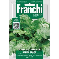 Ріпа Да Фолья Сенца Теста /15 г/ *Franchi Sementi*