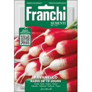 Редис Радис Де 18 Журс /15 г/ *Franchi Sementi*