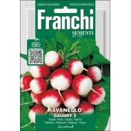 Редис Годри 2 /15 г/ *Franchi Sementi*