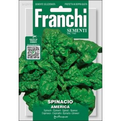 Шпинат Америка /15 г/ *Franchi Sementi*