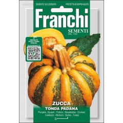 Тыква Тонда Падана /4 г/ *Franchi Sementi*