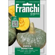 Тыква Берратина /4 г/ *Franchi Sementi*