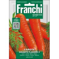 Морковь Джиганте Флакке 2 /9 г/ *Franchi Sementi*