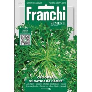 Цикорный салат Сельватика да Кампо /12 г/ *Franchi Sementi*