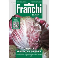 Цикорний салат Варієгата ді Кьоджа /12 г/ *Franchi Sementi*