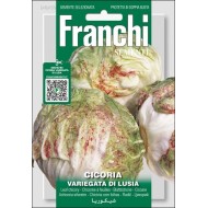 Цикорний салат Варієгата ді Лузіа /12 г/ *Franchi Sementi*