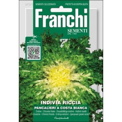 Цикорный салат эндивий Панкальери а Коста Бьянка /12 г/ *Franchi Sementi*