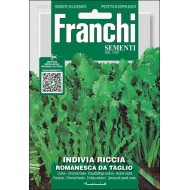 Цикорный салат эндивий Романеска да Тальо /12 г/ *Franchi Sementi*