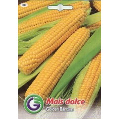 Кукуруза сахарная Голден бентам /3,5 г/ *Galassi sementi*