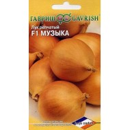 Цибуля Музика F1 /0,2 г/ *Гавриш*