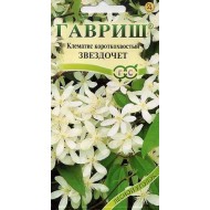 Клематис короткохвостый Звездочет /0,05 г/ *Гавриш*