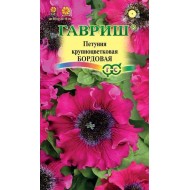 Петунія Бордова /10 насінин/ *Гавриш*