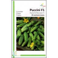 Огірок Пучіні F1 /20 насінин/ *Імперія Насіння*