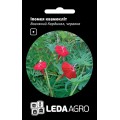 Іпомея квамокліт Вогняний Кардинал /0,5 г/ *LedaAgro*