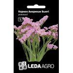 Кермек Американ Б'юті /0,15 г/ *LedaAgro*