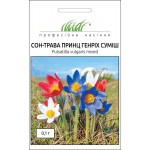 Сон-трава Принц Генріх /0,1 г/ *Професійне насіння*