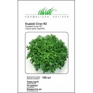 Цикорный салат эндивий Сигал /100 семян (драже)/ *Профессиональные семена*