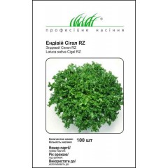 Цикорний салат ендивій Сігал /100 насінин (драже)/ *Професійне насіння*