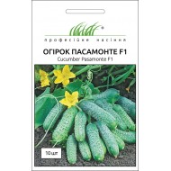 Огірок Пасамонте F1 /10 насінин/ *Професійне насіння*